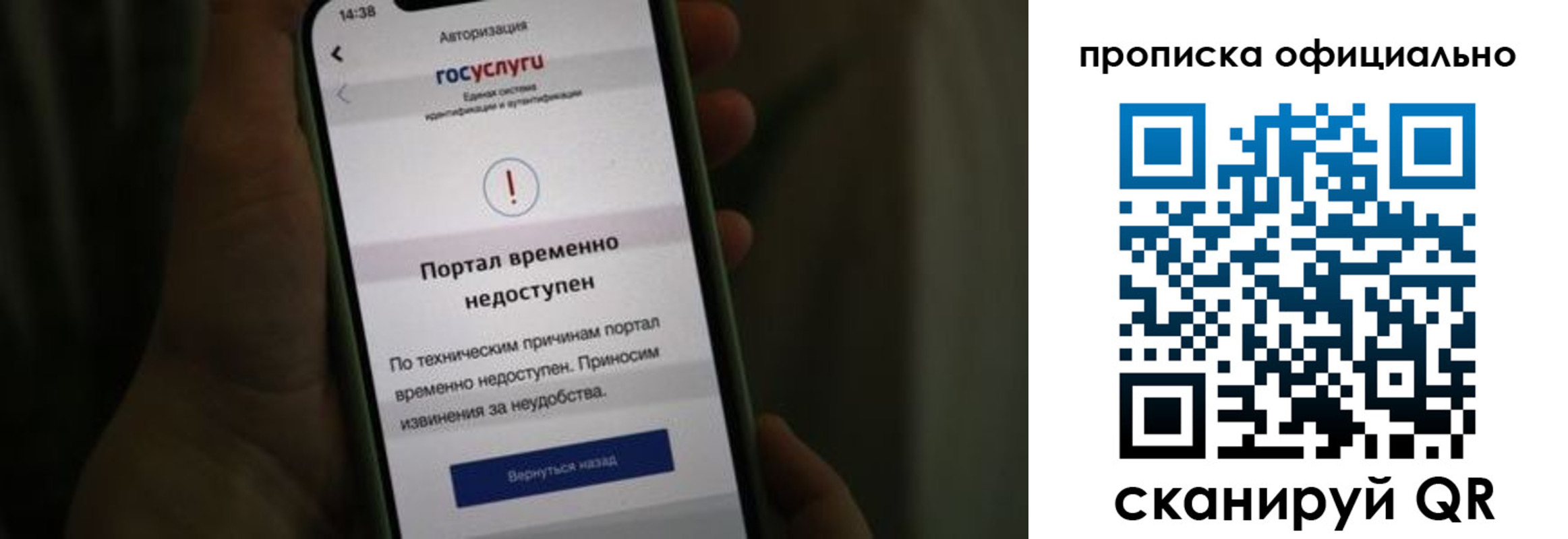 найти адрес прописки в Светлом